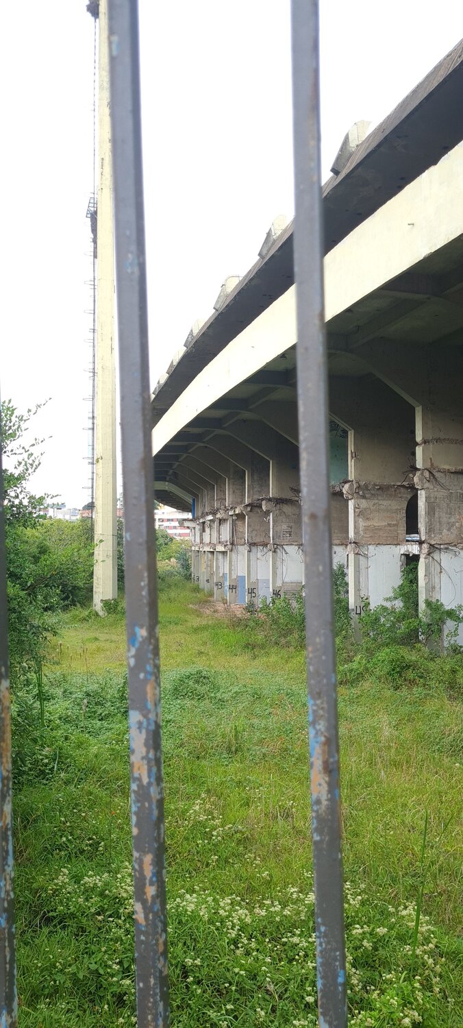 Photo #14049464