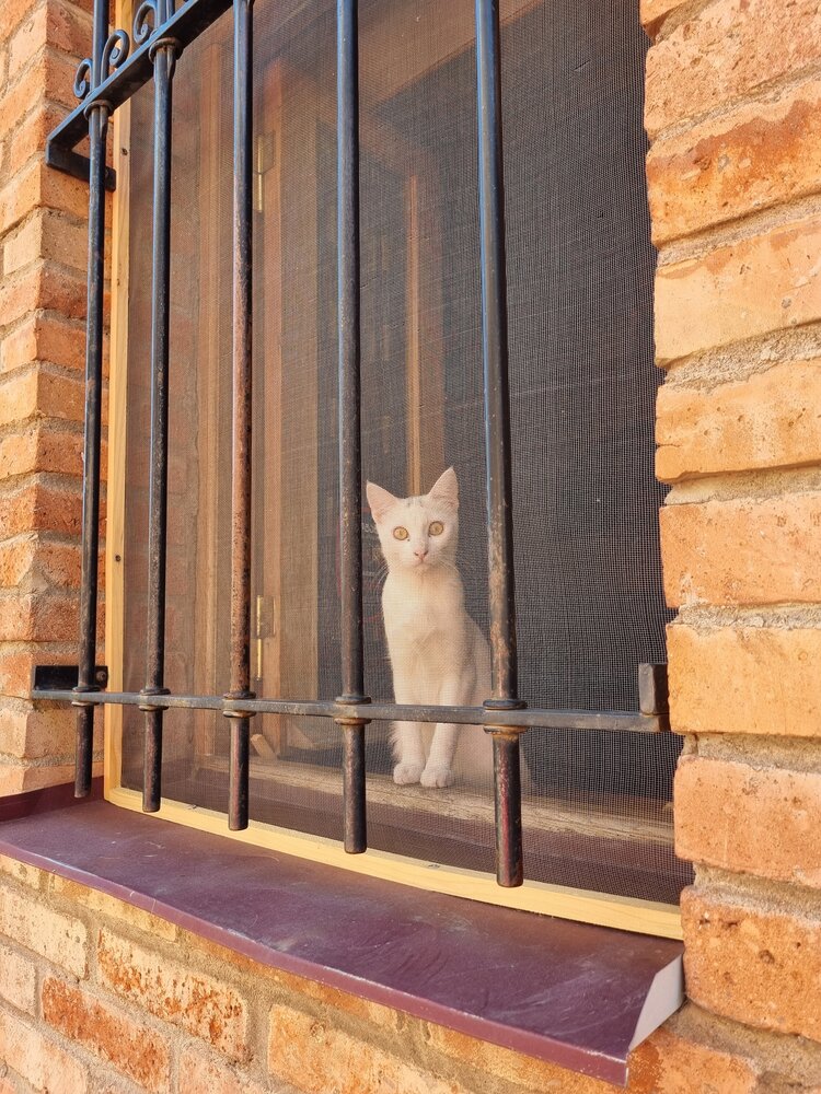 Photograph by Наталья Королева