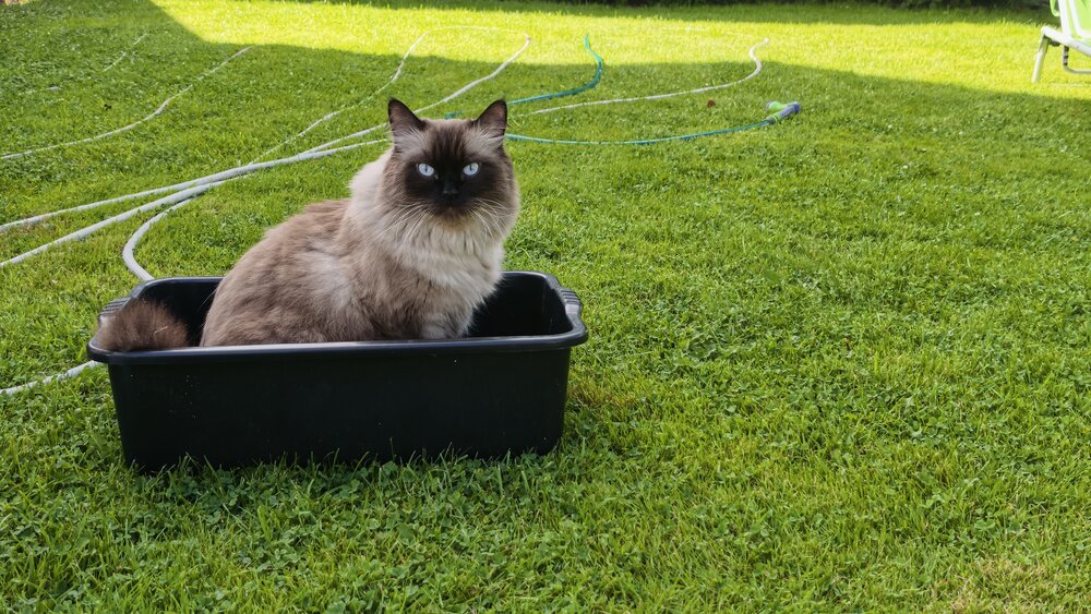 Фотография автора Марина Карасева