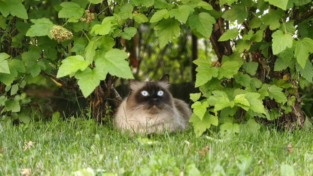 Фотография автора Марина Карасева