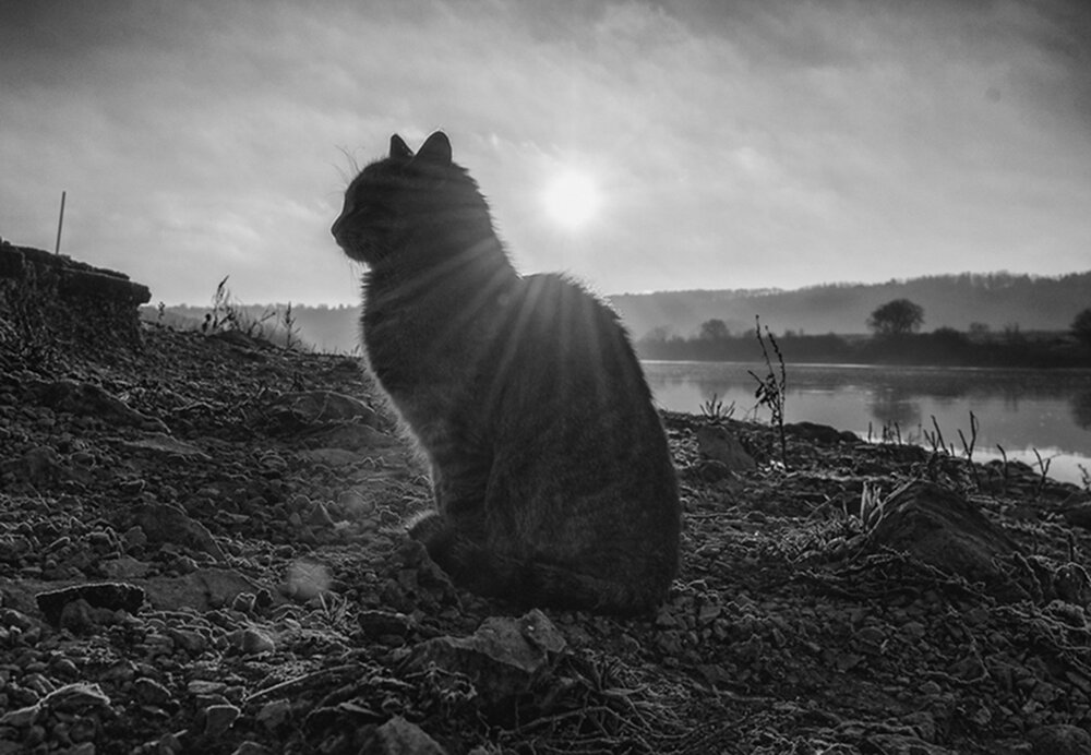 Photograph by Олег Тыркин