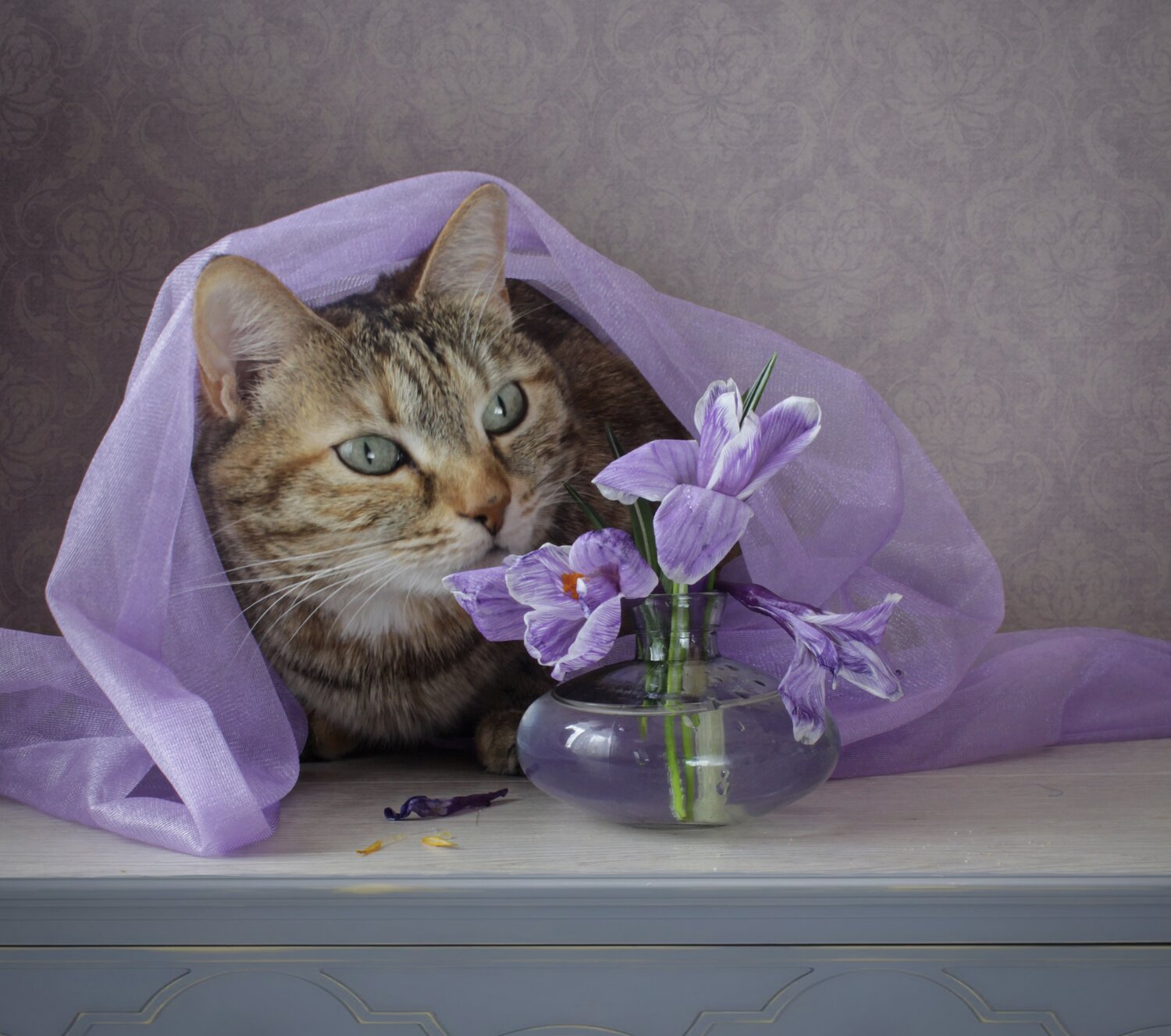 Photo #14049564
