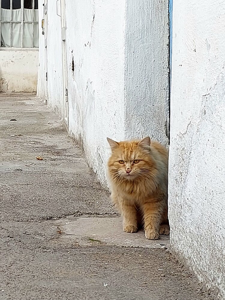 Photograph by Эмма Рахматуллина
