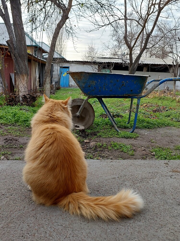 Photograph by Эмма Рахматуллина