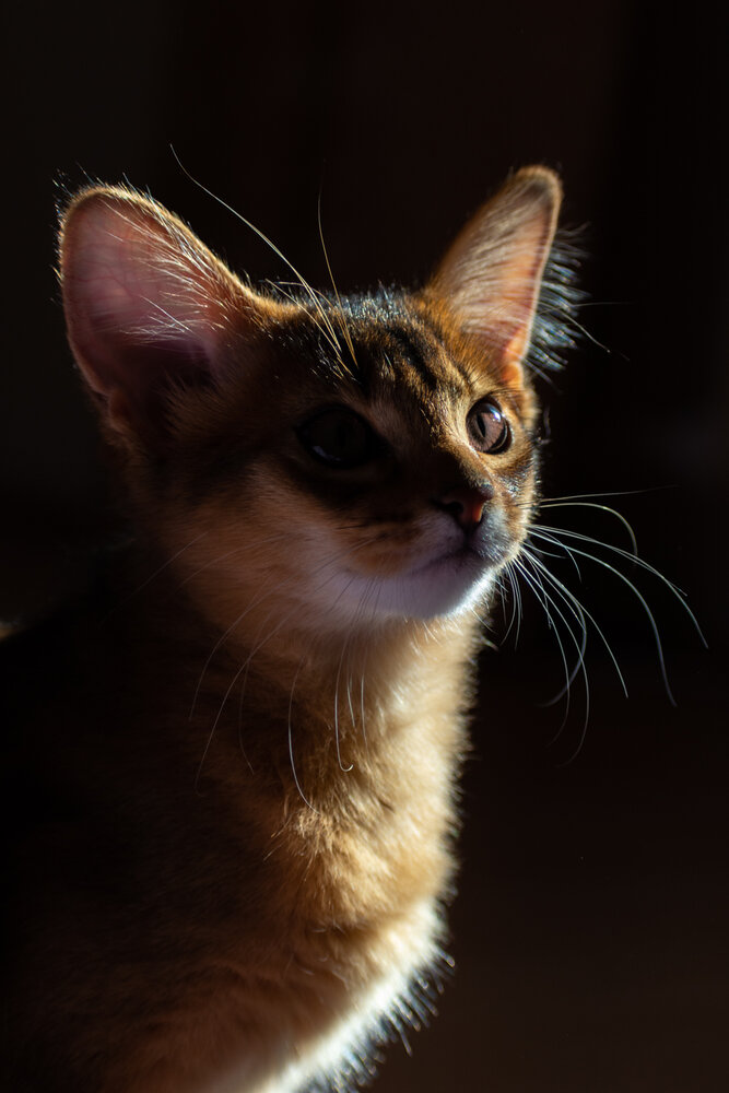 Photograph by Ольга Салтыкова