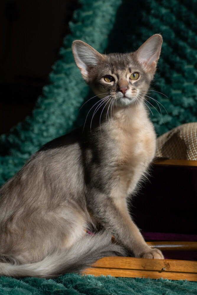 Photograph by Ольга Салтыкова