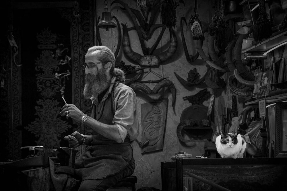 Photograph by S.Mahdi Khamesi