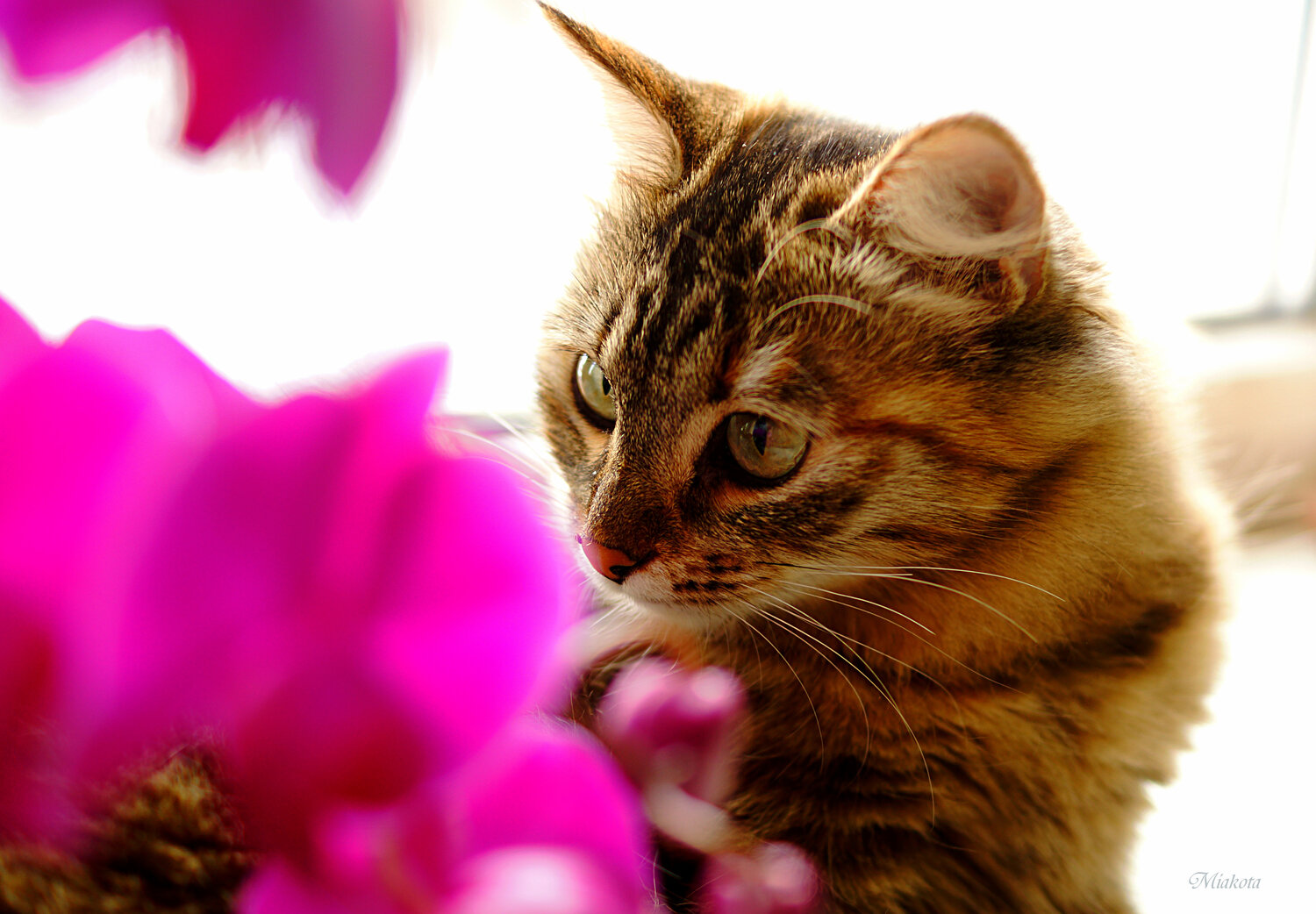 Photo #14049778