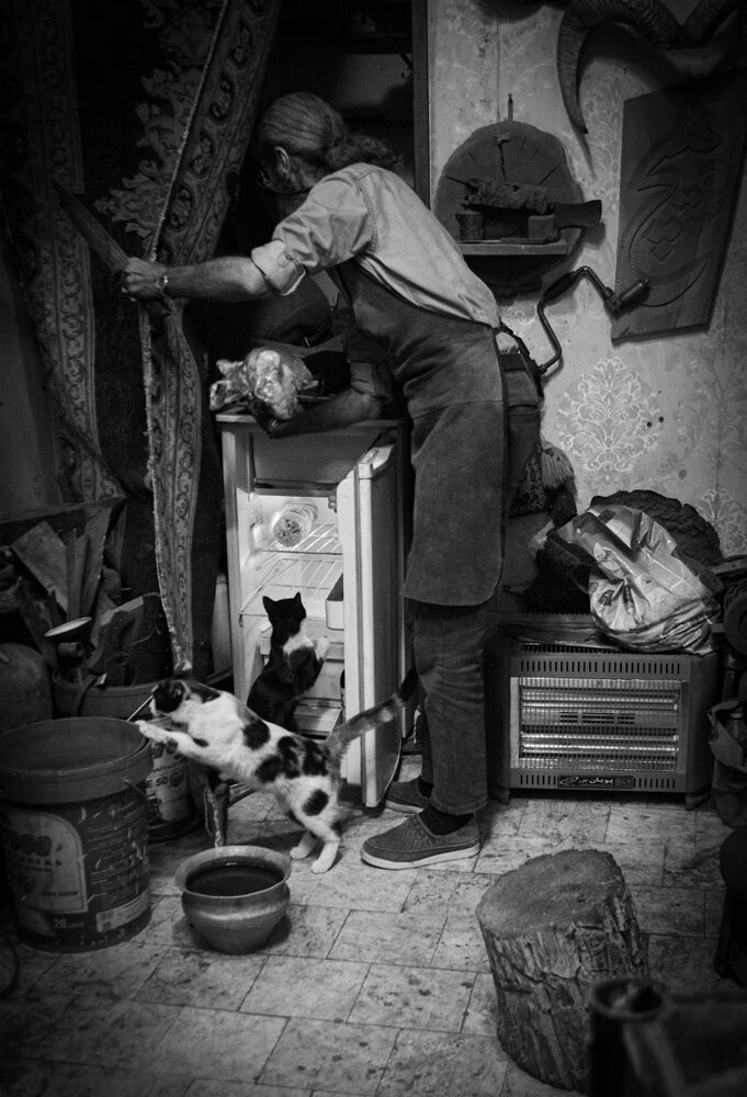 Photograph by S.Mahdi Khamesi