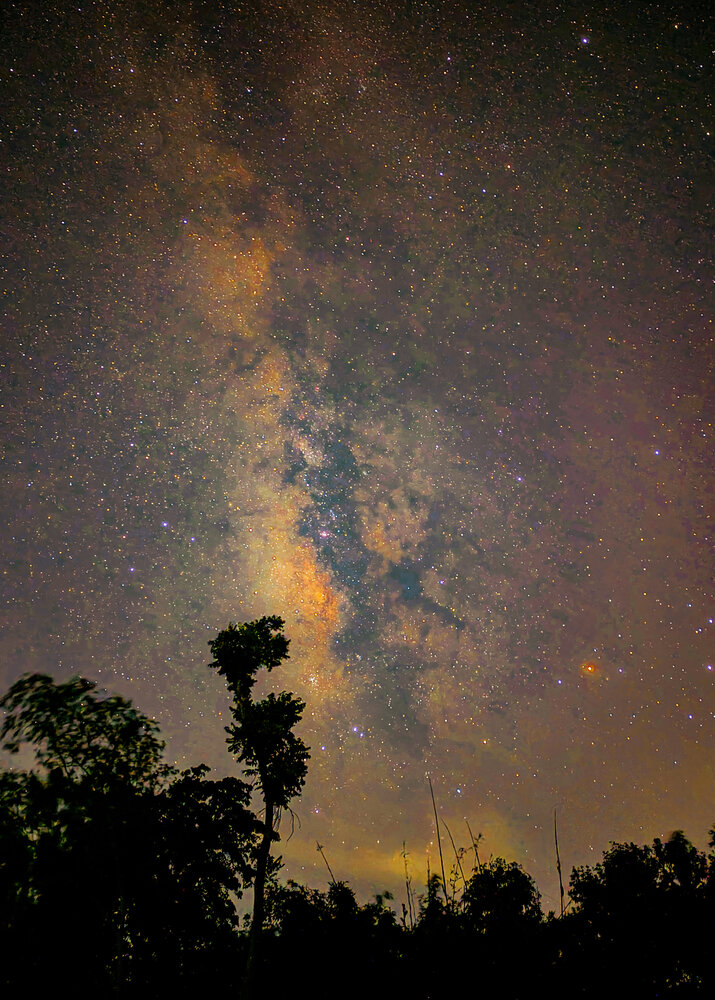 Under the Galactic Sky