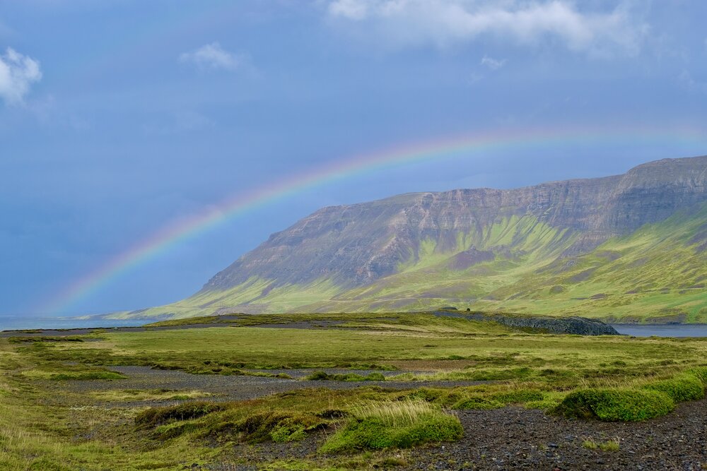 After the rain