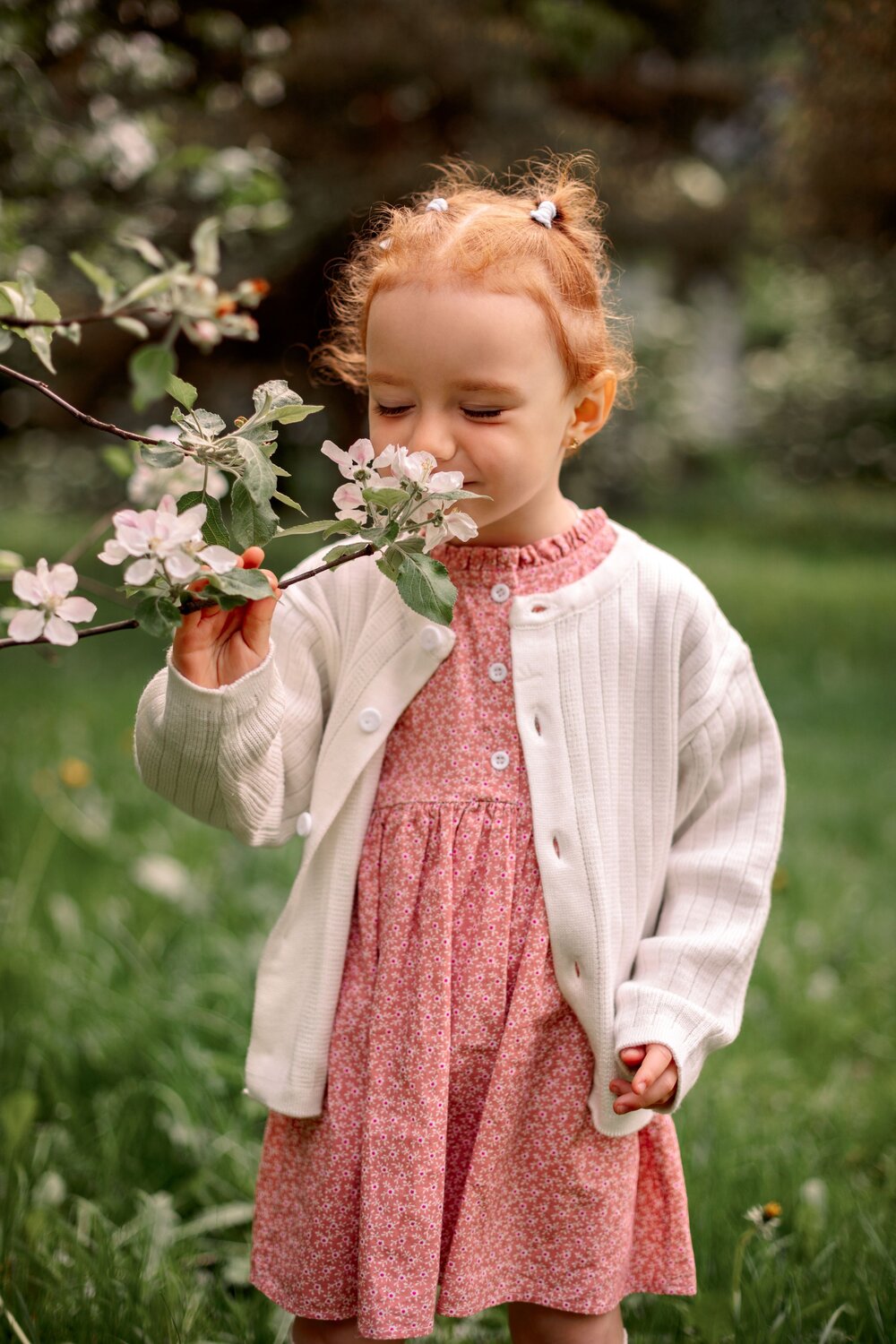 Photo #14049872