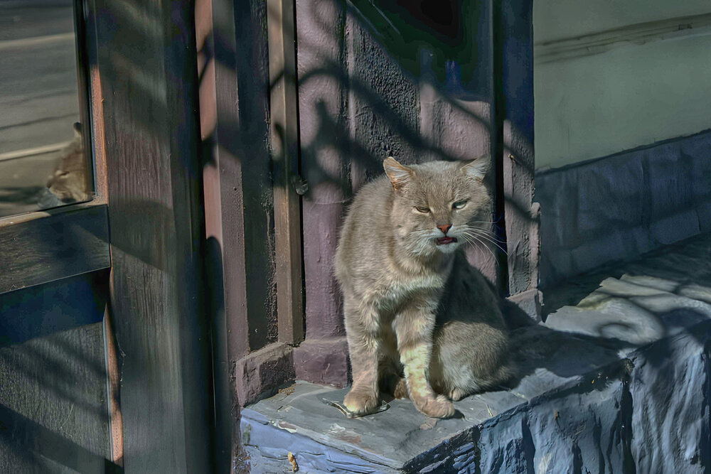 Photograph by Валерий Цуркан