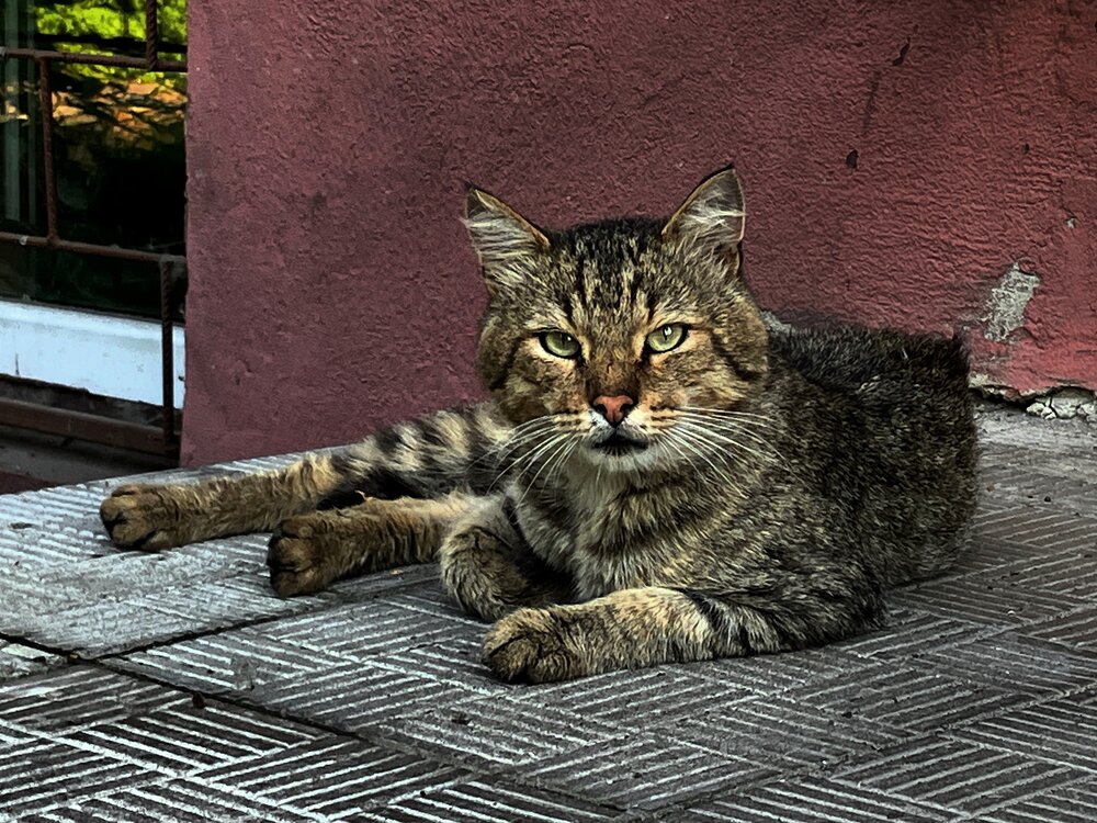 Photograph by Мария Карпычева