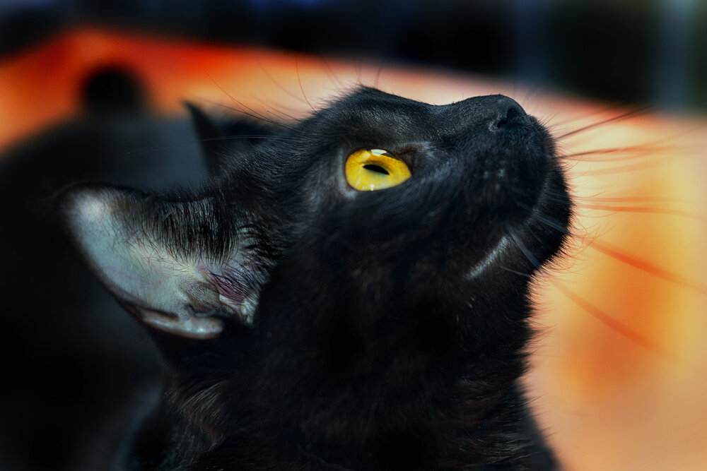 Photograph by Юлия Гетманская