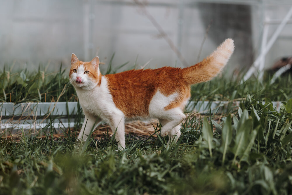 Photograph by Светлана Степашина
