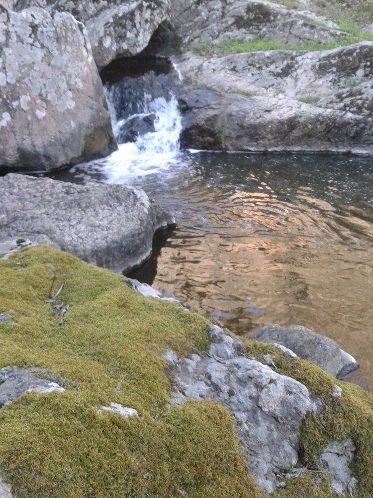 Photo #1405049