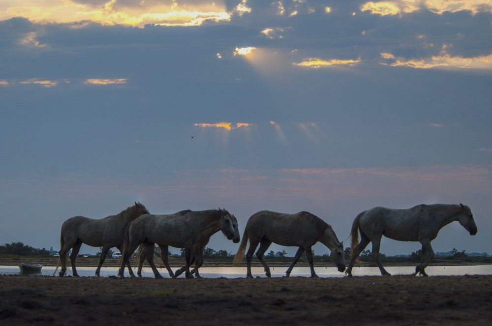 Photograph by Lazeba Anna