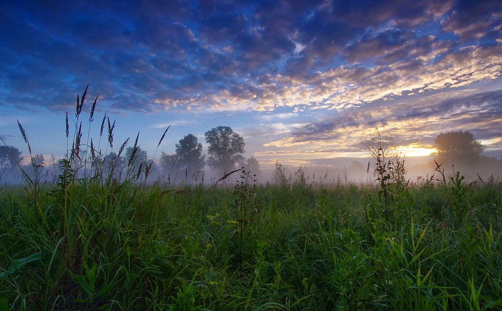 Доброе утро