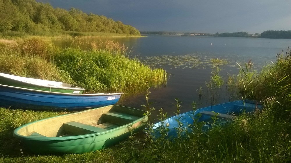 Перед грозой