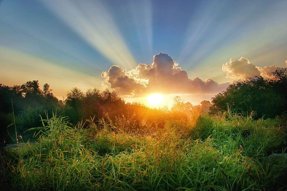 Рассвет (sunrise)