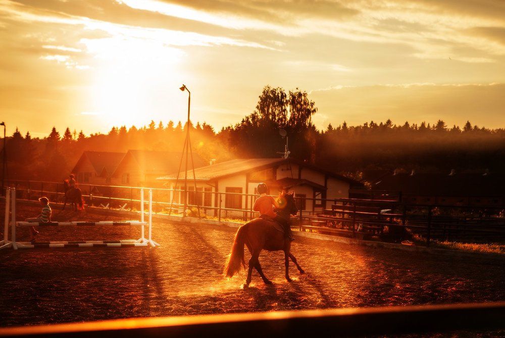 Photograph by Елена Глазунова