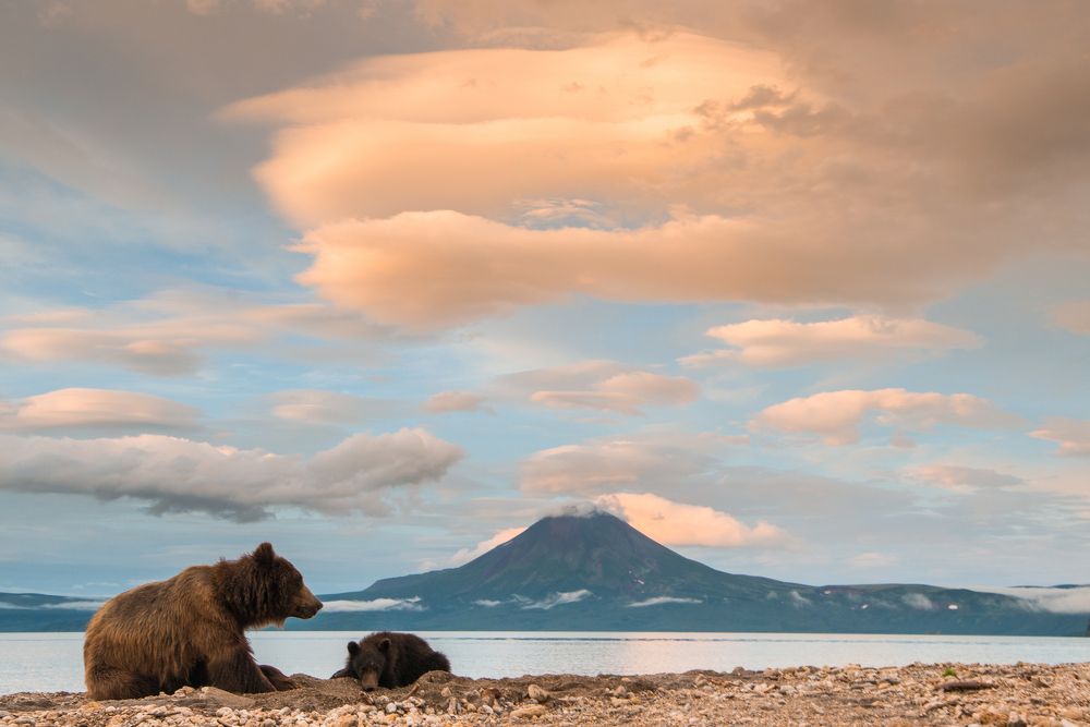 Камчатская классика