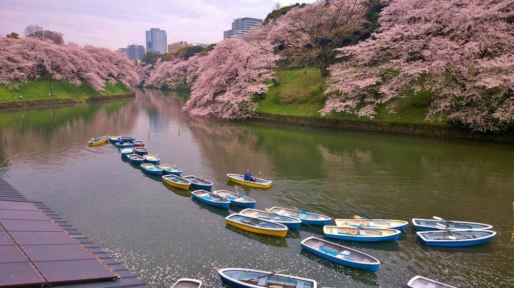 тайна веков
