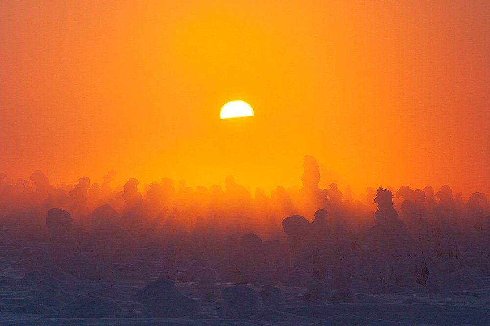 Стройными рядами