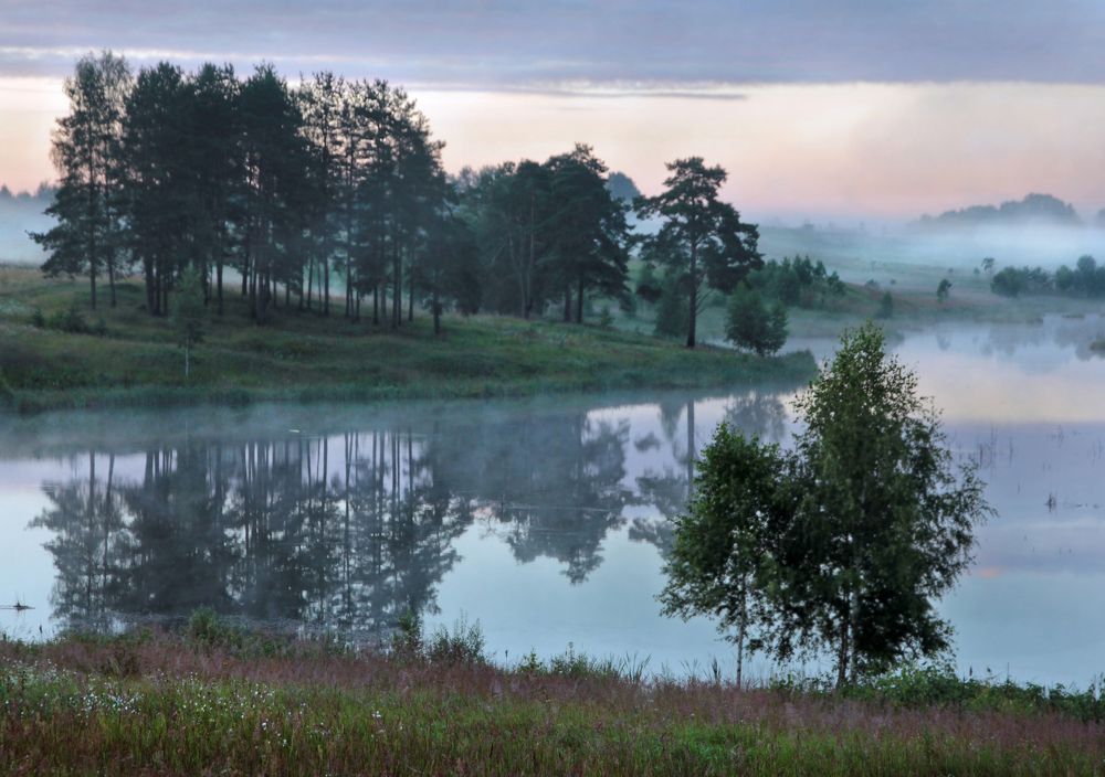Утро в тумане