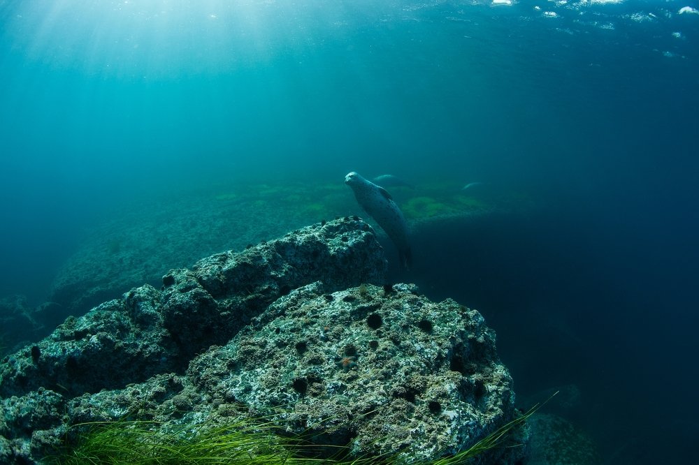 Знакомство