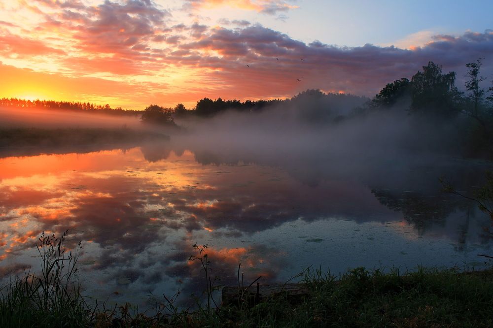 Приходил туман украдкой, рано утром, на заре