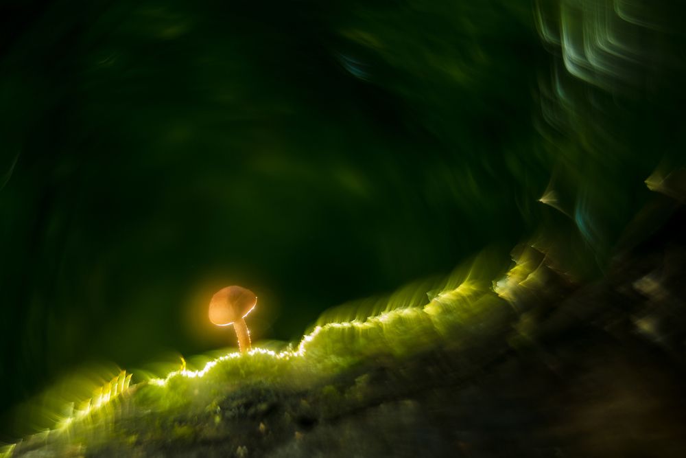 Топает малыш