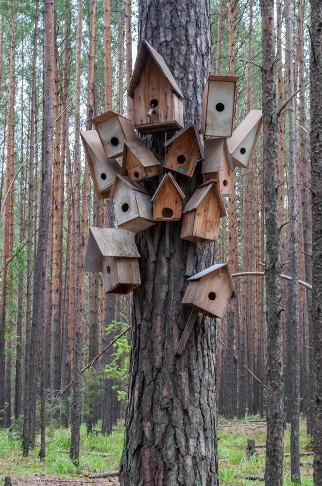 Чтоб на всех хватило