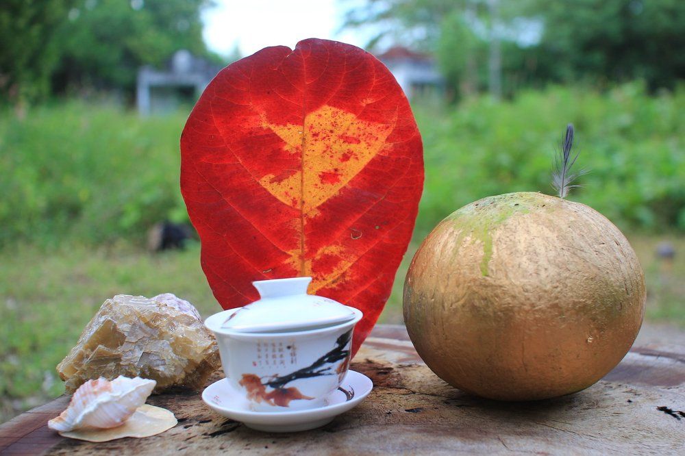 Теплый загрев Тайпин Хоукуй