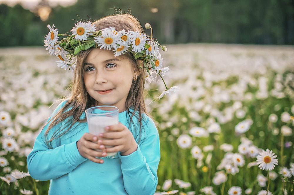 молоко в ромашках