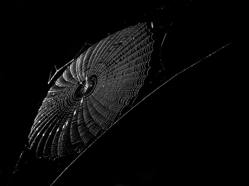 Шелковая нить