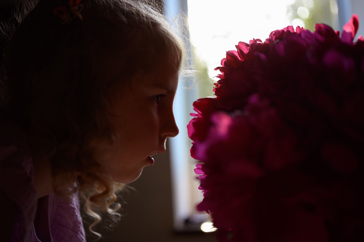 Photo #14050008