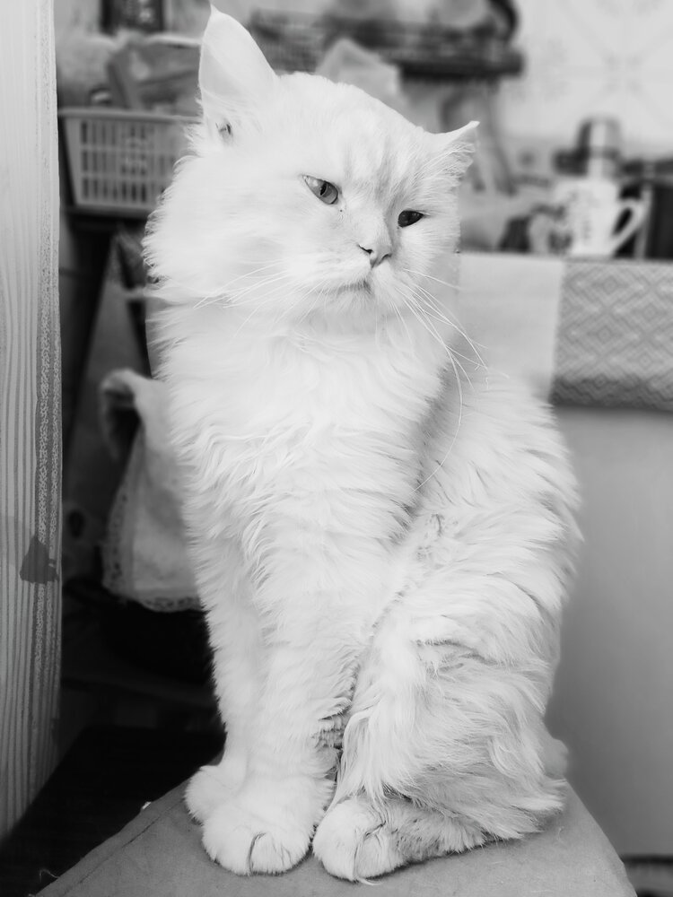 Photograph by Денис Сударчиков