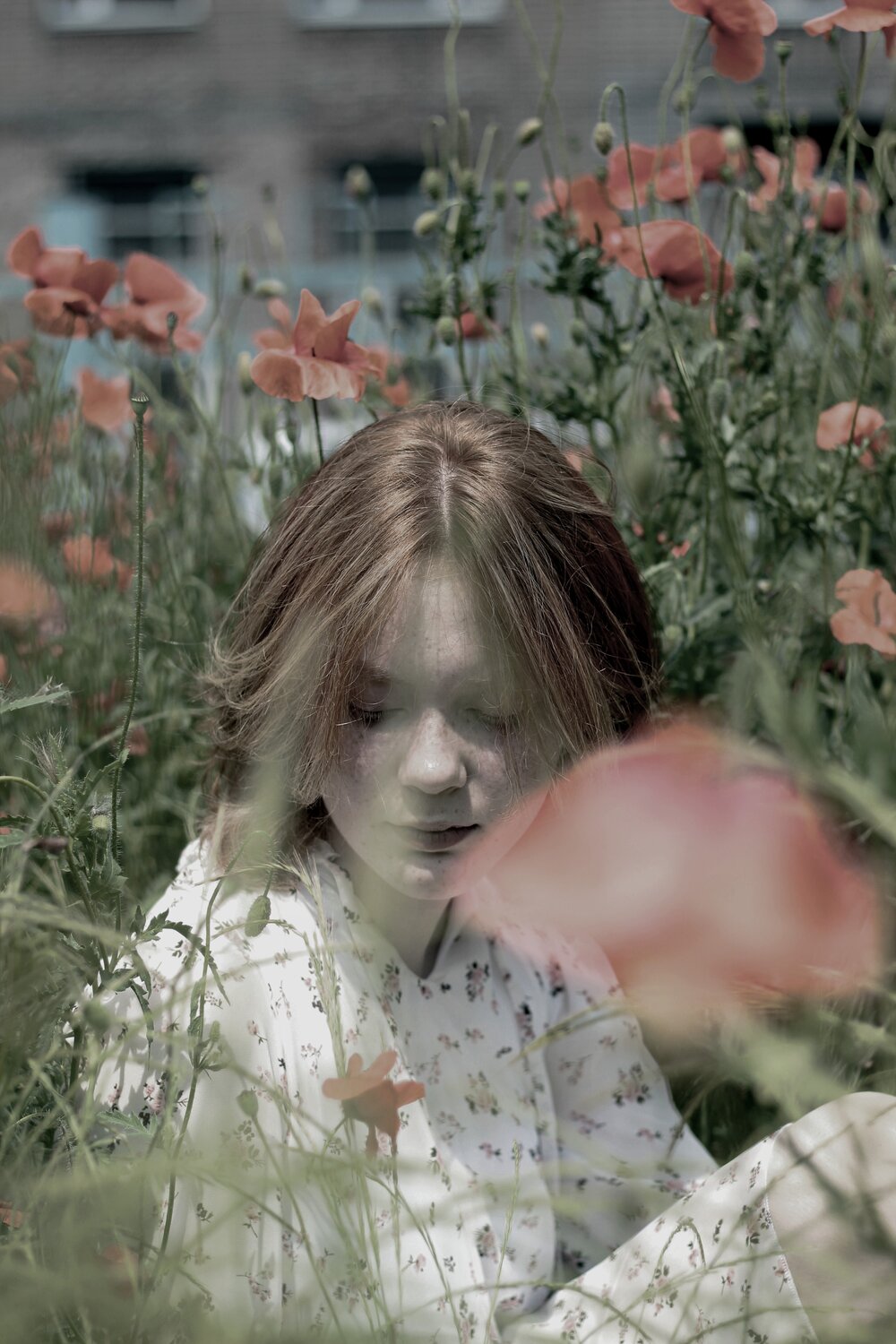 Photo #14050062