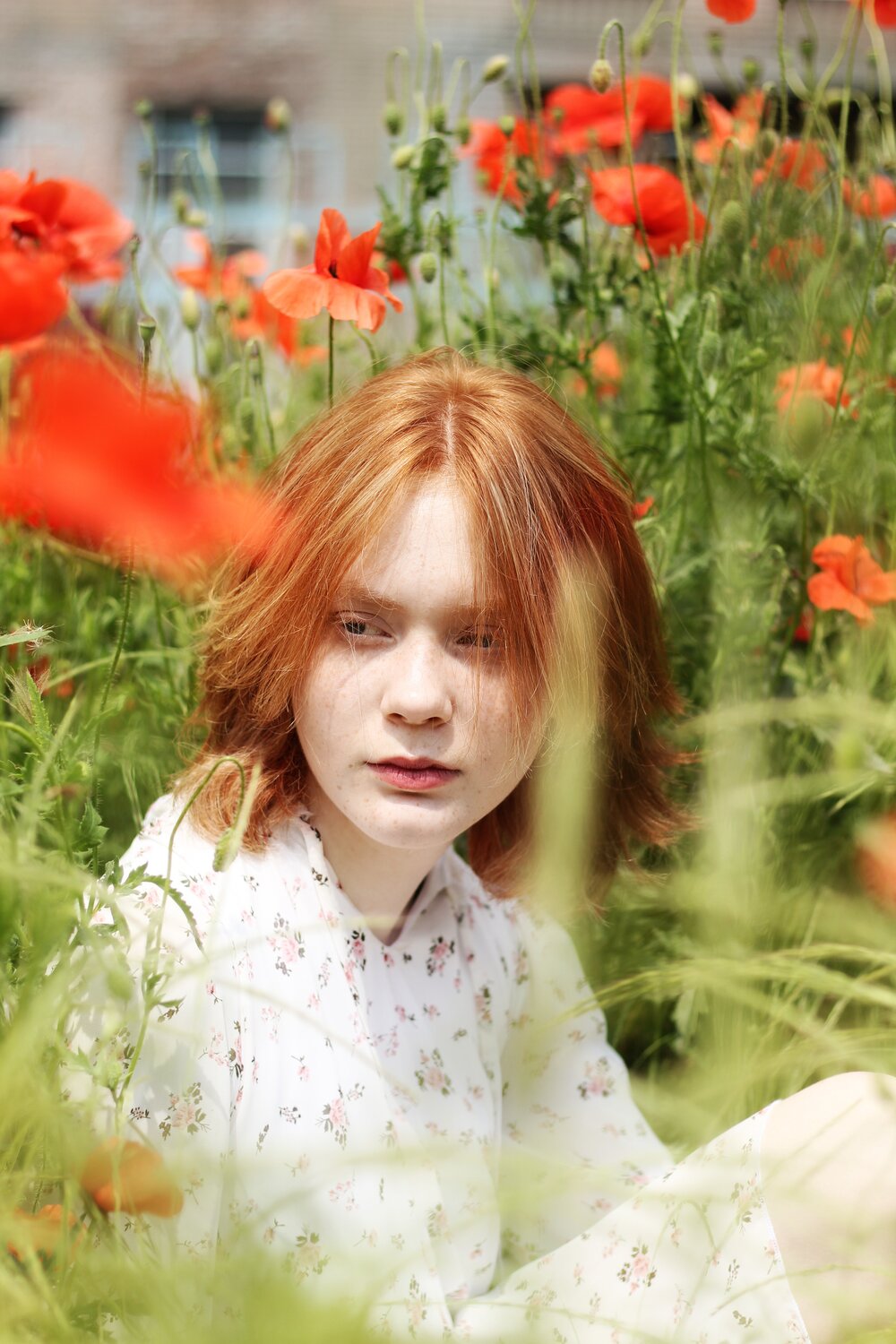 Photo #14050063
