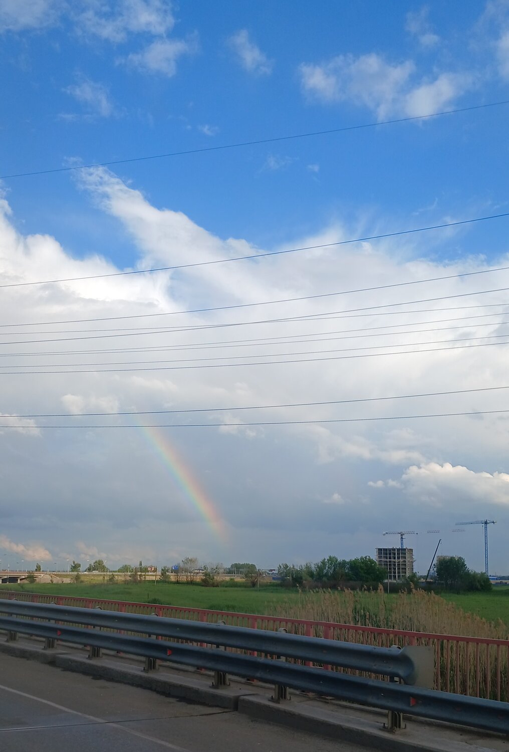 Photo #14050078