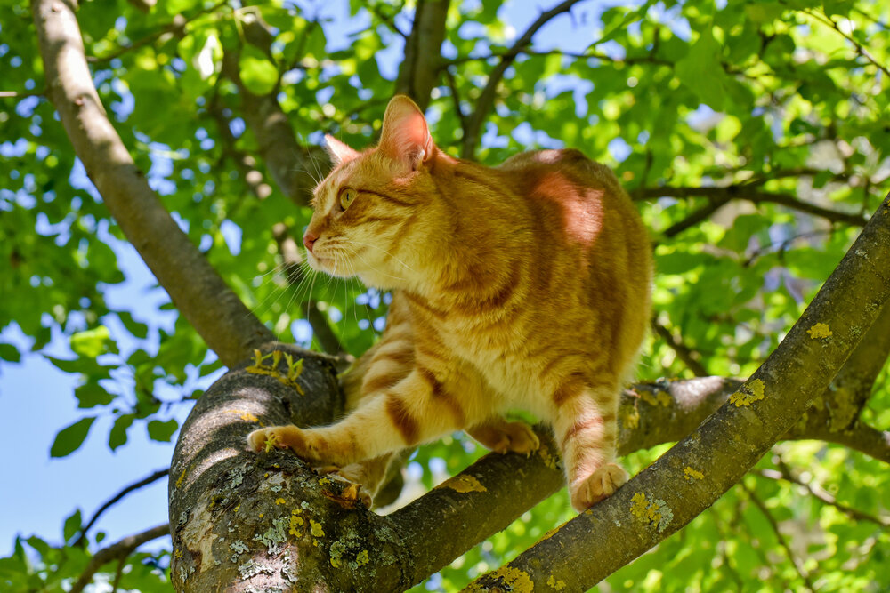Photograph by Эдуард Шадров