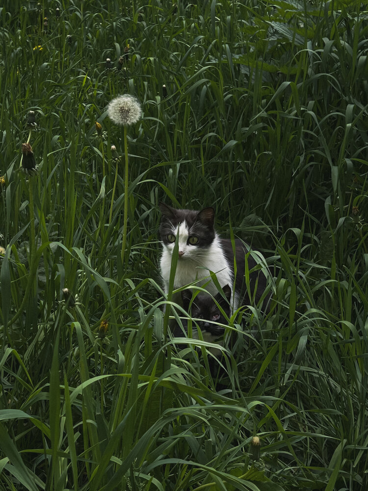 Photograph by Yulia Kotova