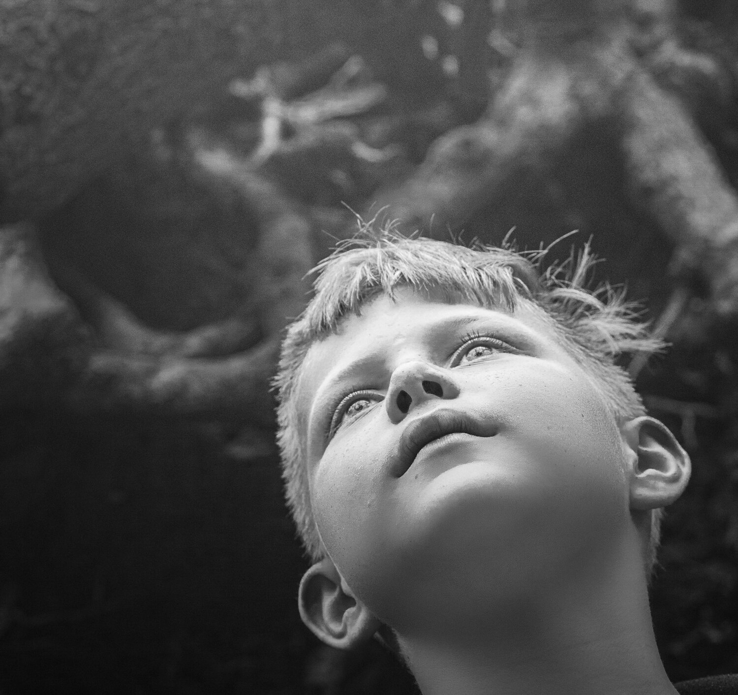 Day Dreamer
