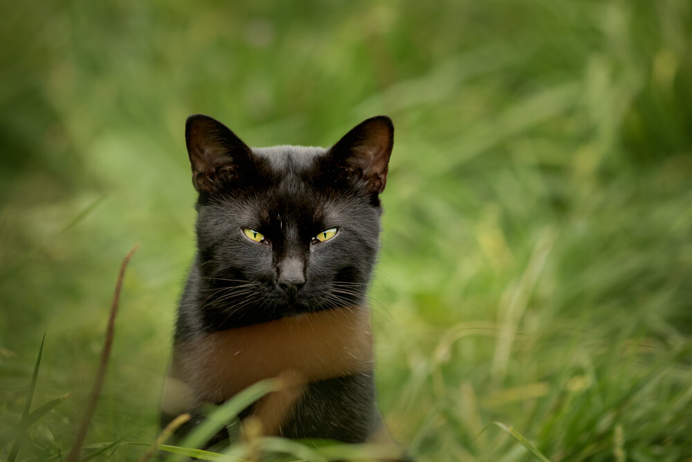 Photograph by Юлия Куликова