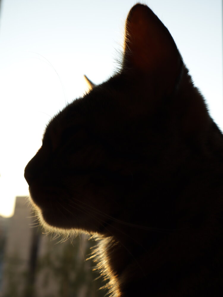 Photograph by Ольга Мольдон