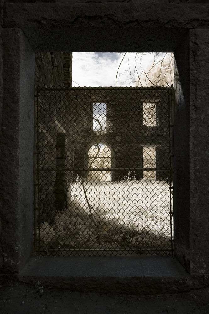 Photograph by Fred Young