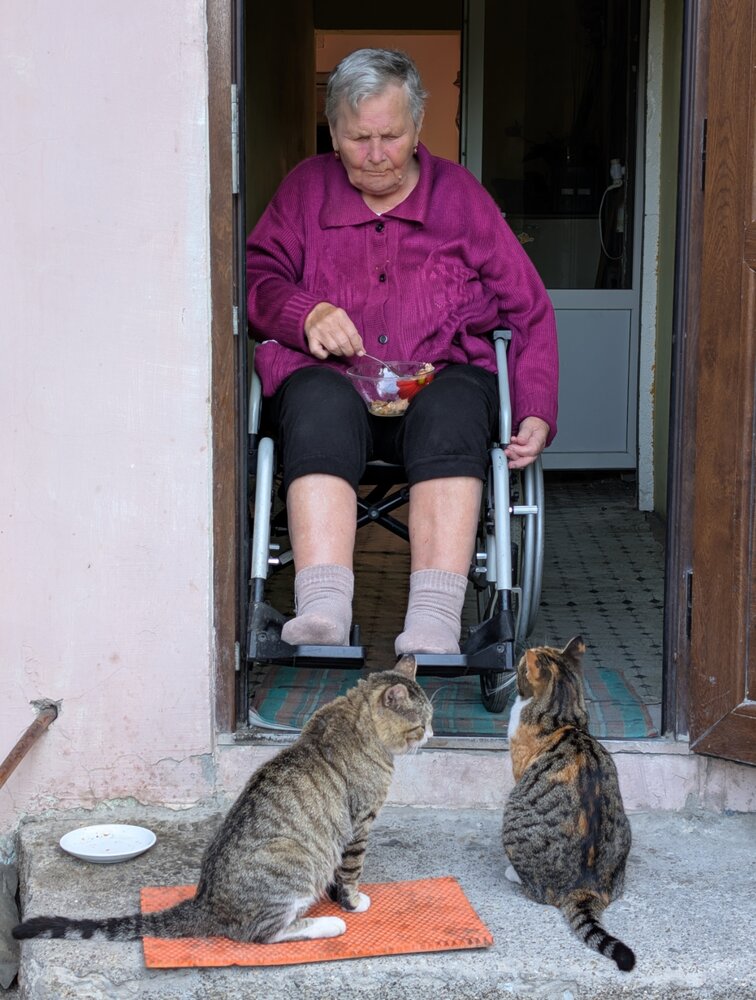 Photograph by Олег Башкуров