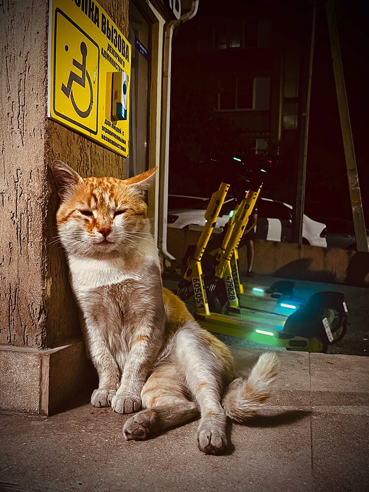 Photograph by Олеся Старицкая